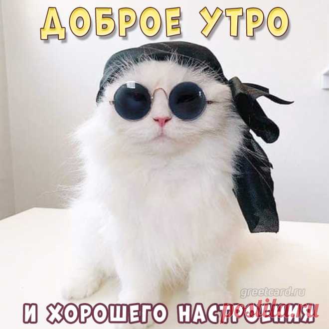 Озорной и теплый лучик,
Осветил твою кровать,
Я к тебе спешу с улыбкой
Доброго утра желать.