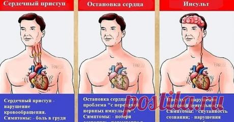 Это может спасти вам жизнь: разница между инфарктом, инсультом и остановкой сердца
Чем больше вы знаете о том, что происходит с вашим телом, тем больше у вас шансов спасти себя и знать, когда отдать себя в руки медицинской команды. Эта статья определяет три основных угрожающих жизни события, показывает их симптомы и предлагает, что делать в каждой ситуации. Терминология Сердечный приступ:  Сердечный приступ – резкий и иногда смертельный […]
Читай дальше на сайте. Жми подробнее ➡