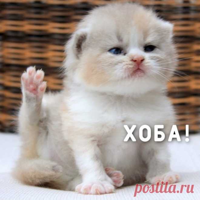 Хоба
