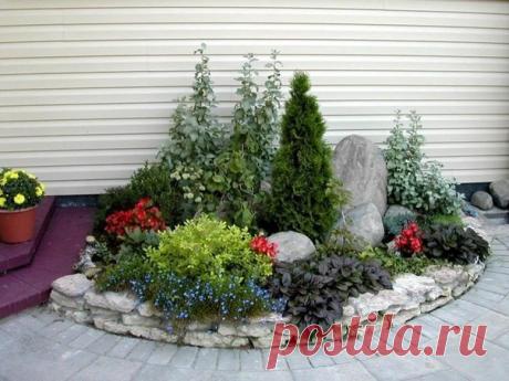 Красивый цветник