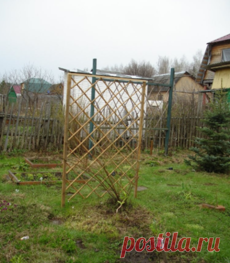 Опоры для вьющихся растений | Страница 9 | Форум - FORUMHOUSE