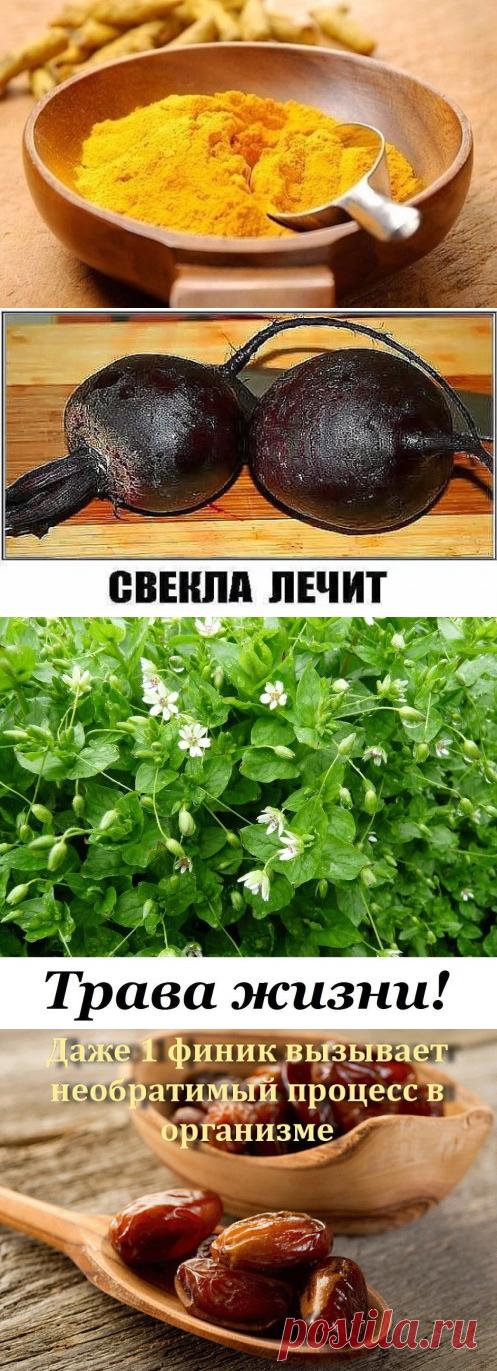 (49) Одноклассники