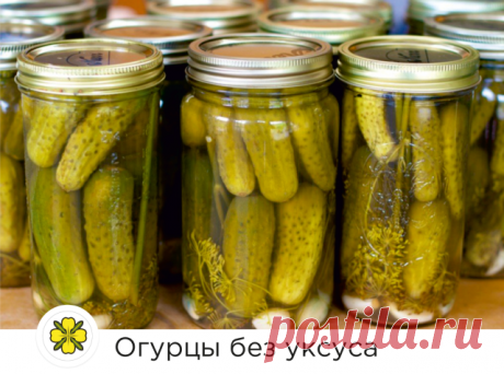 КРУТИМ ОГУРЦЫ БЕЗ УКСУСА! 

Рецепт проще простого! Пальчики оближешь! 
20 минут и готово! 

Понадобится:
Огурцы - 1 кг
Лист хрена
Укроп 
Горчичный порошок "САРЕПТА" - 2 ст ложки

Для рассола:
Вода - 1 л
Соль - 2 ст ложки
Сахар песок - 1 ст ложки
Лимонная кислота - 1 чайная ложка без верха (вместо уксуса)

1. Готовим маринад. Смешать воду, соль, сахар, лимонную кислоту и довести до кипения;
2. Стерилизуем банку объемом 1 литр;
3. Закладываем вымытые огурцы в банку, сверху н...