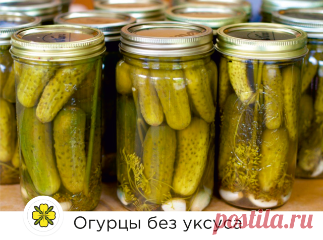 КРУТИМ ОГУРЦЫ БЕЗ УКСУСА! 

Рецепт проще простого! Пальчики оближешь! 
20 минут и готово! 

Понадобится:
Огурцы - 1 кг
Лист хрена
Укроп 
Горчичный порошок 