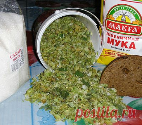 БЛОГ ПОЛЕЗНЫХ СОВЕТОВ: Как приготовить домашние дрожжи