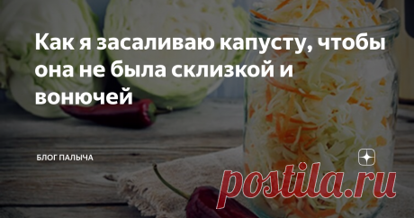 Как я засаливаю капусту, чтобы она не была склизкой и вонючей Для закуски, которая станет приятным дополнением к водочке, важно соблюдением нехитрых правил...