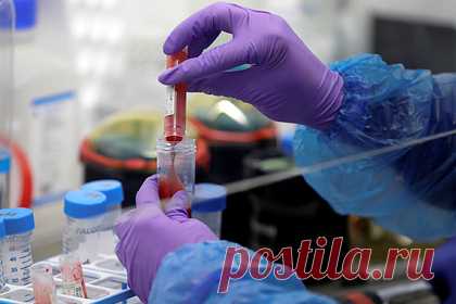 Женщина приняла неизлечимую болезнь за стресс после смерти матери. 39-летняя Лора Маклафин из английского города Вулверхэмптон, графство Уэст-Мидлендс, потеряла мать и приняла симптомы смертельно опасной болезни за реакцию организма на стресс. Британка пожаловалась на боль в левом боку и обратилась к врачам. В ходе обследований у нее диагностировали хронический миелоидный лейкоз.