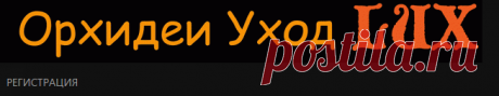 Орхидеи Уход Lux. Фаленопсис, Ванда, Каттлея, Дендробиум, редкие орхидеи, уход, полив - Главная страница