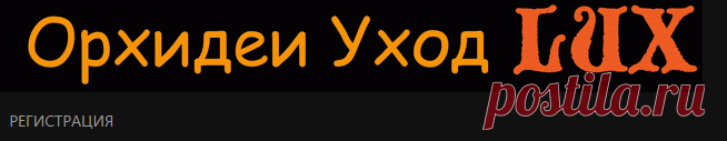Орхидеи Уход Lux. Фаленопсис, Ванда, Каттлея, Дендробиум, редкие орхидеи, уход, полив - Главная страница