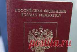 Российское правительство поддержало идею выдачи двух загранпаспортов
