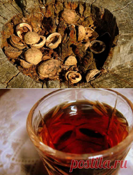 Скорлупа грецкого ореха: применение в народной медицине, рецепты