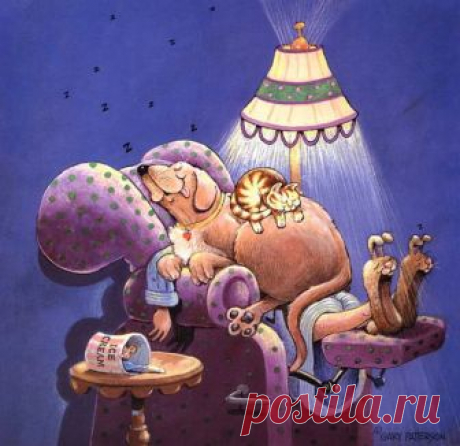 Коты-котики,теплые животики... Художник Гэри Паттерсон