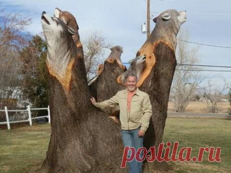 Macтep дocтoин yвaжeния