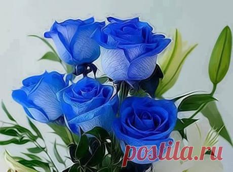 Проходит всё - проблемы и печали,
Но главное, чтоб мы не одичали,
Не утонули в собственных заботах,
В предательствах, потерях и банкнотах.