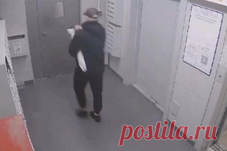 В российском городе мужчина с битой напал на подростков. В Нижнем Новгороде мужчина с битой напал на подростков. Все произошло около жилого комплекса «Седьмое небо». На записях с камер видеонаблюдения видно, что мужчина с предметом, похожим на завернутую в пакет биту, выходит из дома, а затем набрасывается на ребят, которые проезжали мимо на велосипедах.