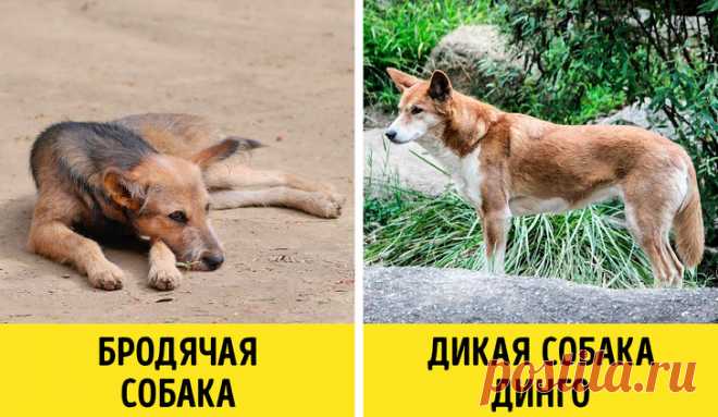 10 принципов экозащитников, которые оказались не более чем фикцией