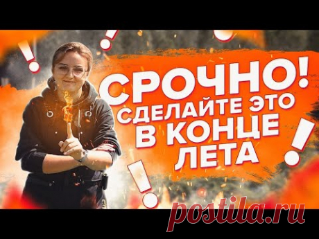 АВГУСТ. РАБОТЫ В ОГОРОДЕ! УСКОРЯЕМ СПЕЛОСТЬ ТОМАТОВ, КОПАЕМ КАРТОФЕЛЬ, СЕЕМ ГАЗОН, ВНОСИМ УДОБРЕНИЯ