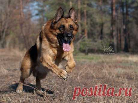 Интересные новости