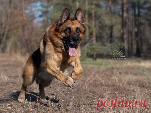 Интересные новости