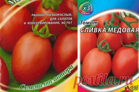 Томат Медовая сливка: описание сорта, фото, отзывы, характеристика, достоинства и недостатки, особенности выращивания, урожайность