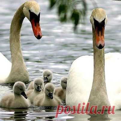 Редкие кадры