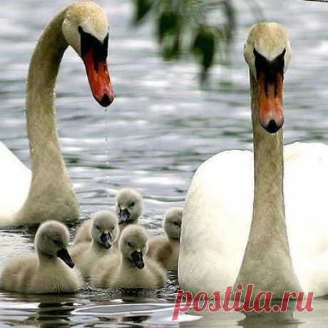 Редкие кадры