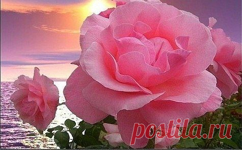 Церковь Владимирской иконы Божией Матери с.Бурла
"Ты свои собственные планы поставляешь впереди планов Божиих, потому страдаешь. Доверием Богу и смирением решаются все проблемы".

Старец Паисий Святогорец