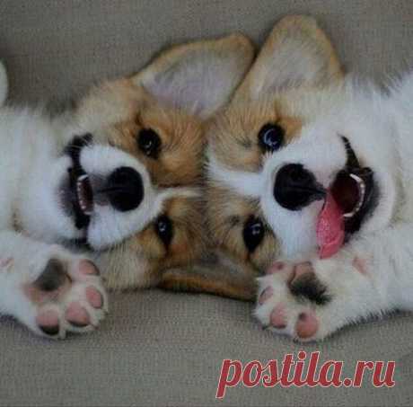 Обнимашки