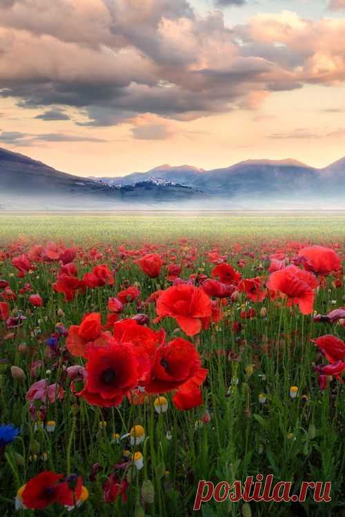 Belle nature