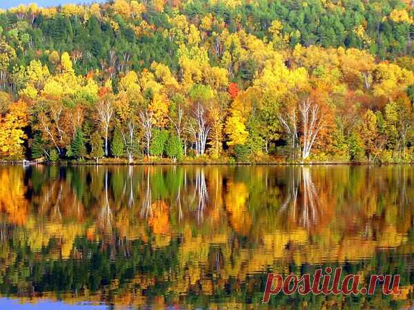 Зеркальное отражение осени в воде! Буйство осенних красок над зеркалом озер! - Блог Три и ночка