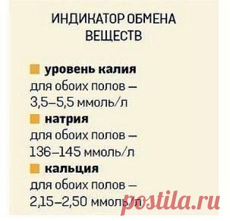О чем расскажет анализ крови 

Каждый из нас хотя бы раз в жизни сдавал кровь и получал на руки листочек бумаги с буквами, цифрами и единицами измерения. Затем врач, быстренько взглянув на результаты, объявлял: «С вами все нормально», или «Вы больны». Причем сами вы, сколько ни старались и ни пытались забежать вперед и узнать, что с вами случилось, наверняка с трудом понимали, что означают те или иные буквы. На самом деле все не так сложно.