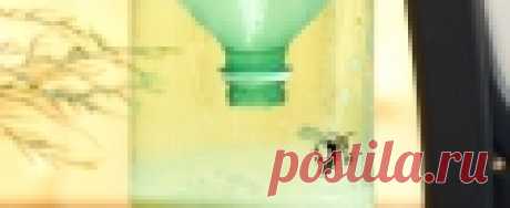 Москиты: простая ловушка для комаров - OK-Wood Комары - один из самых надоедливых врагов человечества. Не удивительно, что в магазинах можно найти так много средств для уничтожения этих насекомых. Производители соревнуются в изобретательности и придумывают все новые и новые типы ловушек для комаров. Сегодня мы и поговорим именно о них.