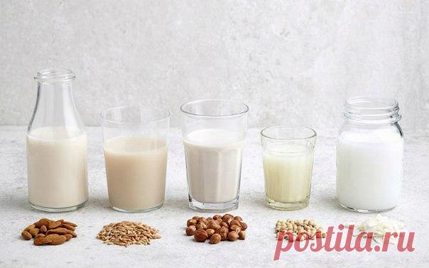 #Готовим_вместе_с_мамой@dosug.prav.detey 
-----------------------------------------------------------------------------
Растительное молоко – это пищевой продукт, получаемый вследствие кулинарной переработки растений. Оно является отличной заменой молока животных для людей, страдающих лактозной непереносимостью. А ещё такое молоко – находка для тех, кто постится. 

Многие способы добывания растительного молока были придуманы в Средние века. Издавна применялся в кулинарных ...