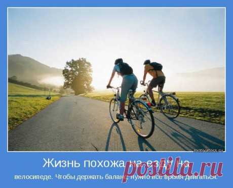 БЕСПЛАТНЫЙ КУРС!!! понятие финансовой независимости это когда человек не работает, а деньги поступают к нему.
Как избавиться от ошибок начального этапа построения организации?

  Как научиться создавать большие организации и зарабатывать реальные доходы от сети?

 Какие Главные ошибки допускаются чаще всего дистрибьюторами? Как замечать эти ошибки и избегать их?

 Какие три основные из них нужно в первую очередь выявлять?

 Какие двe из них нужно знать почти наизусть?