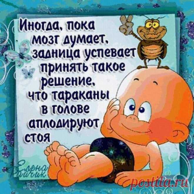 Свеженькая подборка анекдотов и шуточек