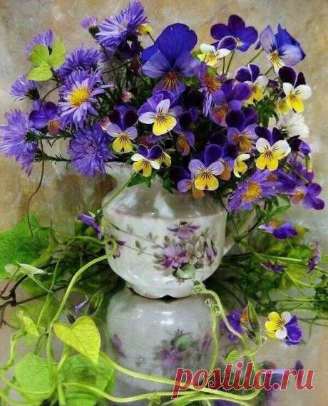 «Purple purple flower's Amor perfeito, Flores amor perfeito, Amores perfeitos» — карточка пользователя Елена П. в Яндекс.Коллекциях