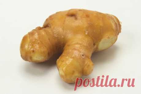 Эскулап: Имбирь по своей силе превосходит женьшень