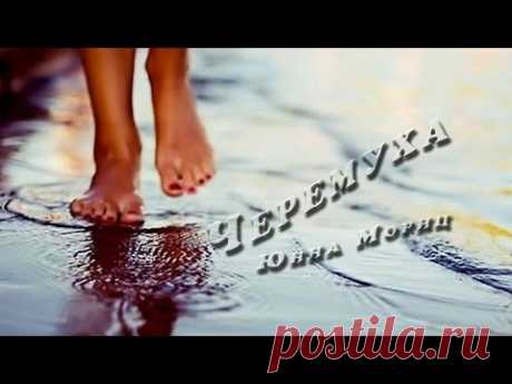 Марго &quot;Черемуха&quot;( ст. Юнна Мориц , муз. О. Сюсюра) - YouTube