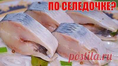 Почему селедка должна быть на новогоднем столе: рецепт лучшей бюджетной рыбы для здоровья
