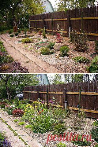 Если не хочется полоть сорняки. Или забор у соседа страшный.