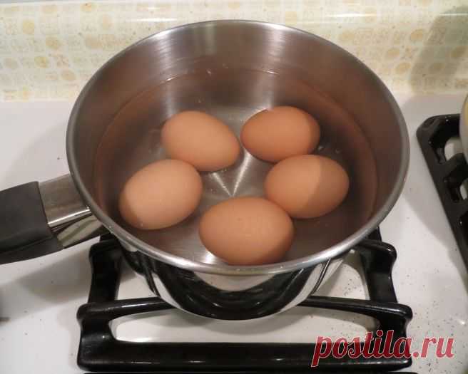 Вода после варки яиц просто незаменима для ваших домашних растений | Делаем сами