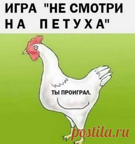 приколы юмор шутки анекдоты здесь 600+ картинок!!! присоединяйтесь!  ПРИКОЛЫ ЮМОР ШУТКИ ツ группа фб