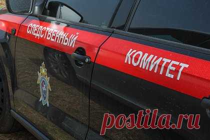 Начальник российской колонии и его заместитель погорели на картофеле