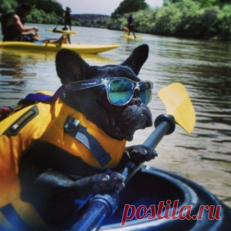 Диалоги