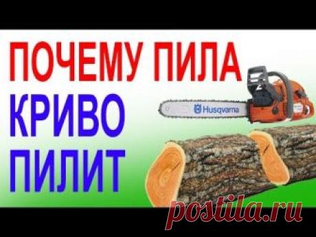 Миллионы бензопил криво пилят от этого. ТОП неисправностей  шины и цепи