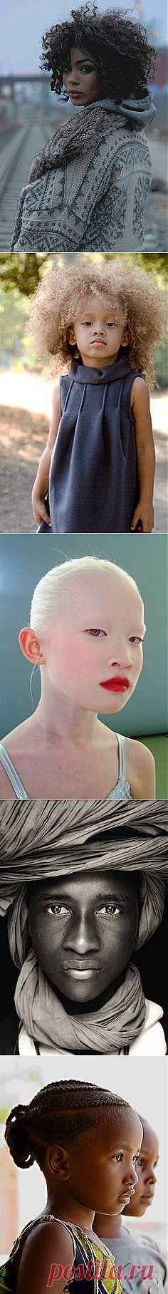 portrait | Windows to the Soul