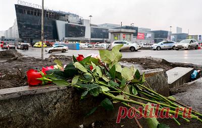 Соцфонд назначил 38 пенсий по потере кормильца родственникам погибших в "Крокусе". Выплаты оформили в беззаявительном порядке