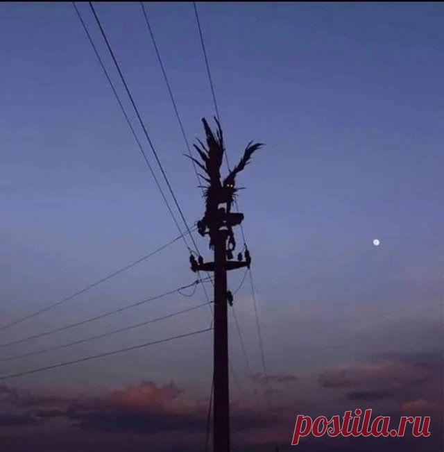 Странные фотографии - Нет скуки.ру. Юмор, приколы, смешные картинки и разные интересности..