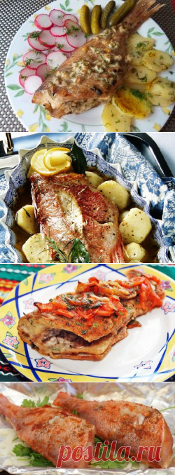 Морской окунь в духовке - рецепты с фото. Как приготовить морского окуня, запеченного в духовке в фольге