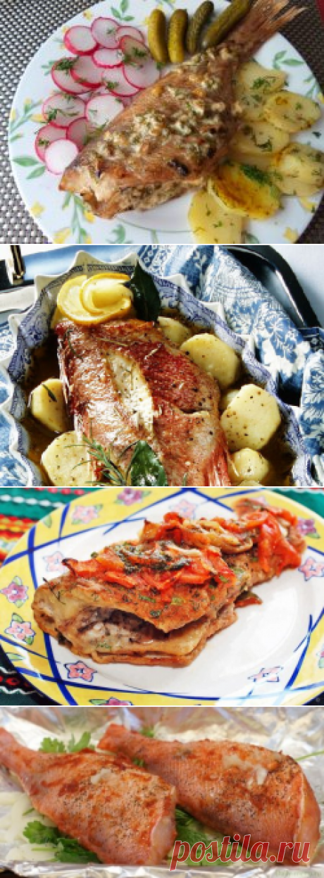 Морской окунь в духовке - рецепты с фото. Как приготовить морского окуня, запеченного в духовке в фольге